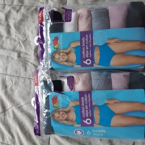 Ladies briefs